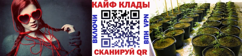 Как найти наркотики Порхов Кокаин A PVP Гашиш Конопля МЕФ