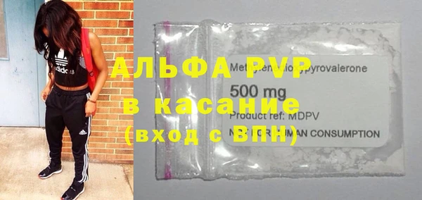 шишки Аркадак