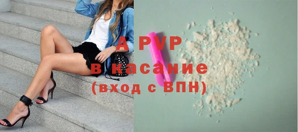 шишки Аркадак