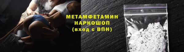 шишки Аркадак