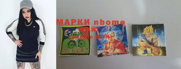 шишки Аркадак