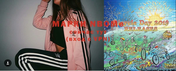 шишки Аркадак