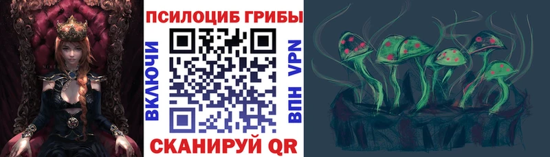 где купить наркоту  Порхов  Галлюциногенные грибы Magic Shrooms 