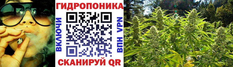 Шишки марихуана тримм  нарко площадка клад  Порхов  OMG ТОР 